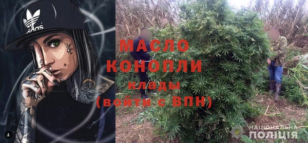 хмурый Пересвет