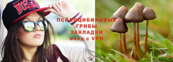 СК Аркадак