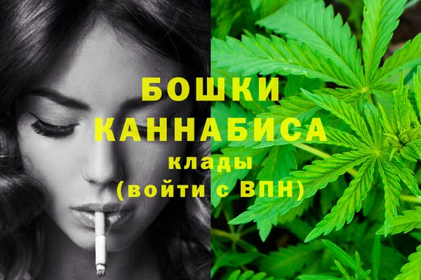 СК Аркадак
