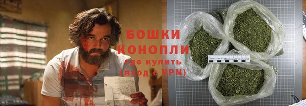 амф Арсеньев