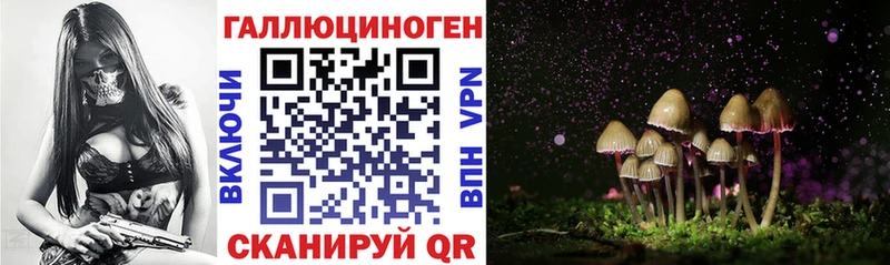 Галлюциногенные грибы Magic Shrooms  ссылка на мегу ССЫЛКА  Первомайск  где продают  